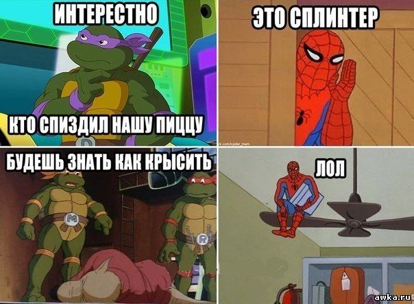 новые смешные приколы