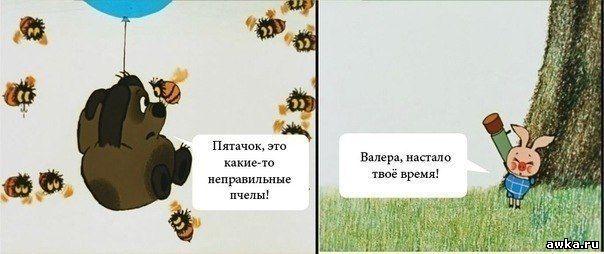 приколы